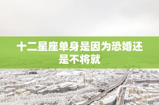 十二星座单身是因为恐婚还是不将就