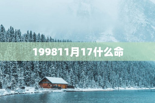 199811月17什么命
