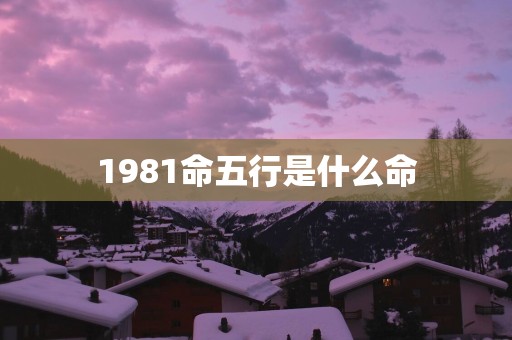 1981命五行是什么命