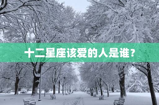 十二星座该爱的人是谁？