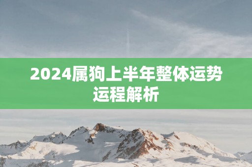 2025属狗上半年整体运势运程解析