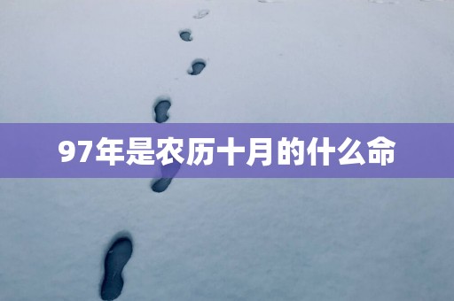 97年是农历十月的什么命