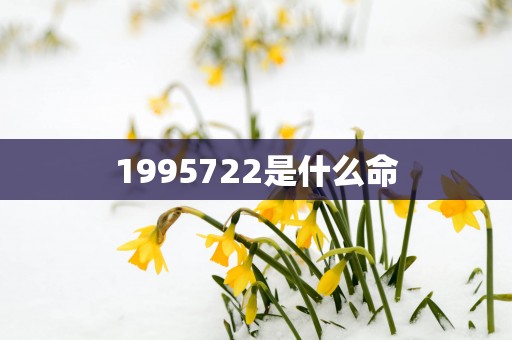 1995722是什么命