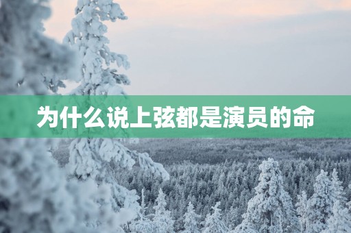 为什么说上弦都是演员的命