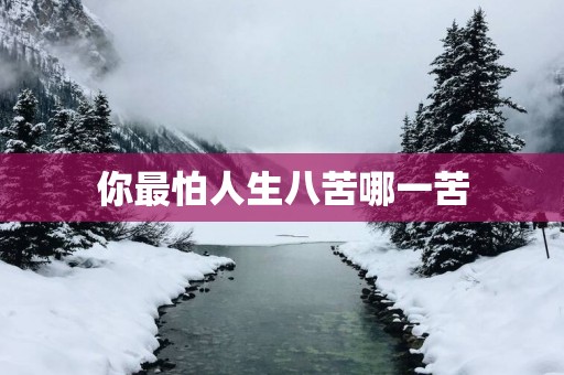 你最怕人生八苦哪一苦