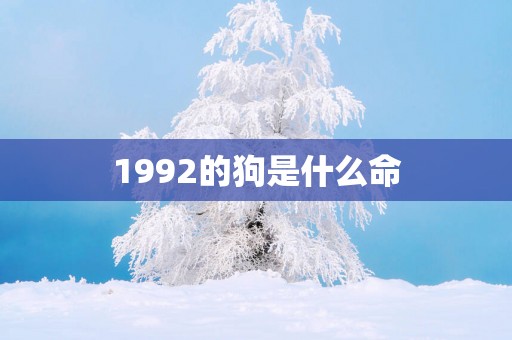 1992的狗是什么命