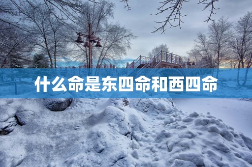 什么命是东四命和西四命