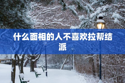 什么面相的人不喜欢拉帮结派