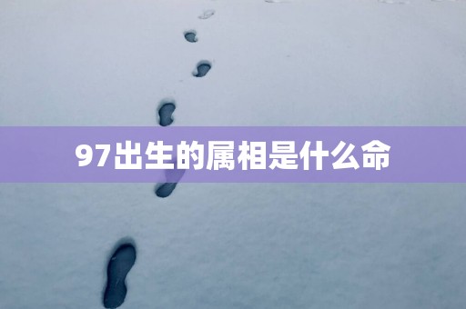 97出生的属相是什么命