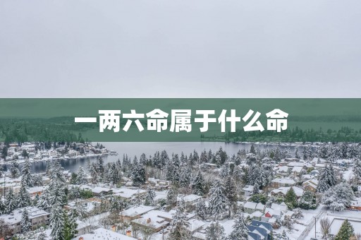 一两六命属于什么命