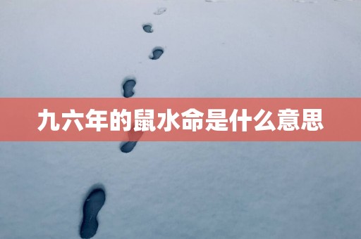 九六年的鼠水命是什么意思