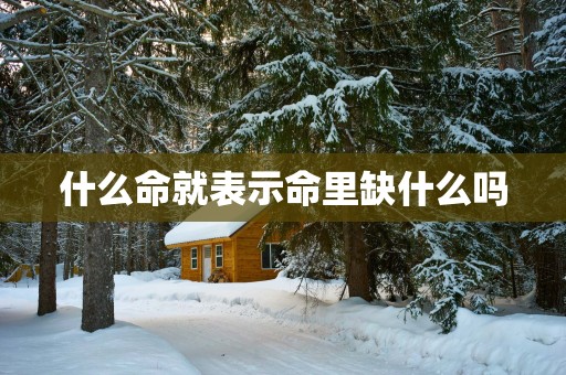 什么命就表示命里缺什么吗