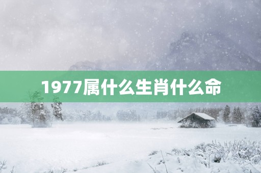 1977属什么生肖什么命