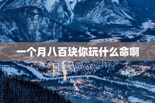 一个月八百块你玩什么命啊
