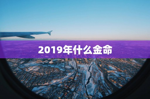 2019年什么金命