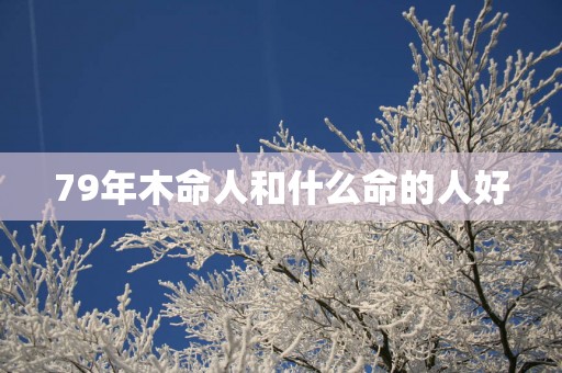 79年木命人和什么命的人好