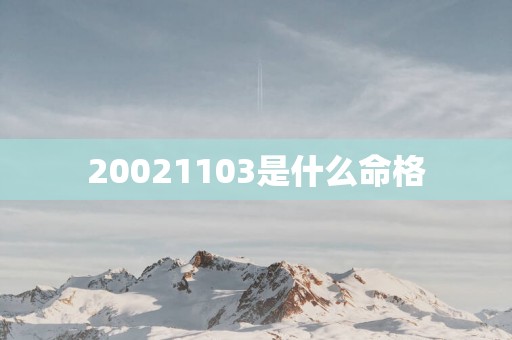 20021103是什么命格