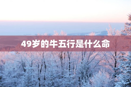 49岁的牛五行是什么命
