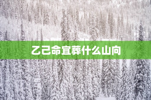 乙己命宜葬什么山向