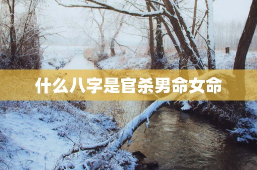 什么八字是官杀男命女命