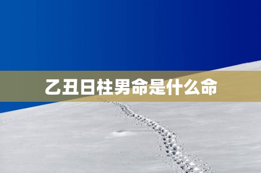 乙丑日柱男命是什么命