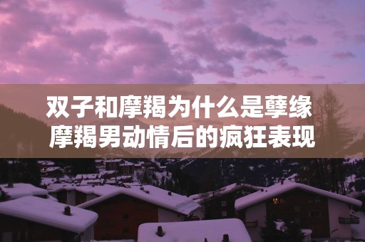 双子和摩羯为什么是孽缘 摩羯男动情后的疯狂表现