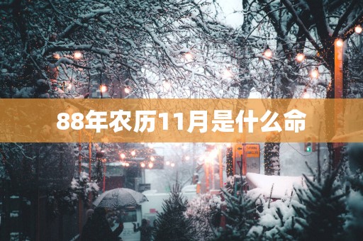 88年农历11月是什么命