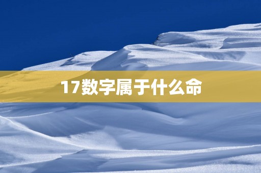 17数字属于什么命
