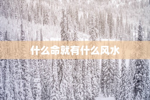 什么命就有什么风水