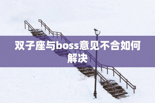 双子座与boss意见不合如何解决