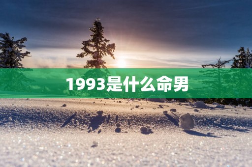 1993是什么命男