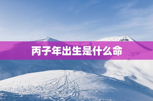 丙子年出生是什么命