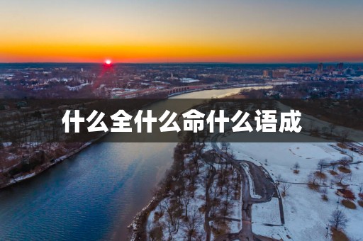 什么全什么命什么语成