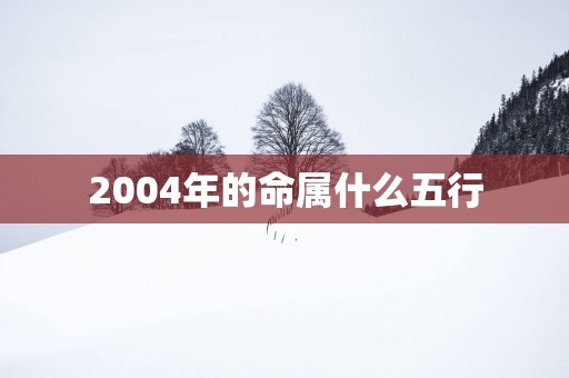 2004年的命属什么五行
