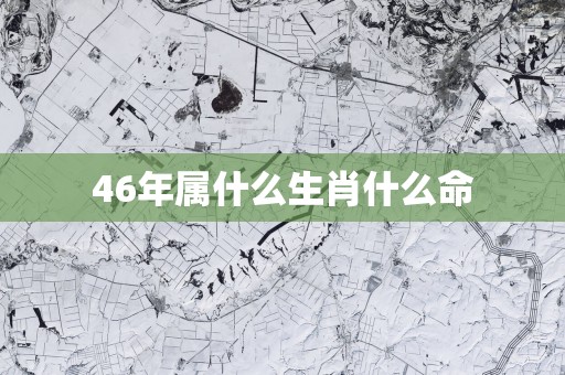 46年属什么生肖什么命