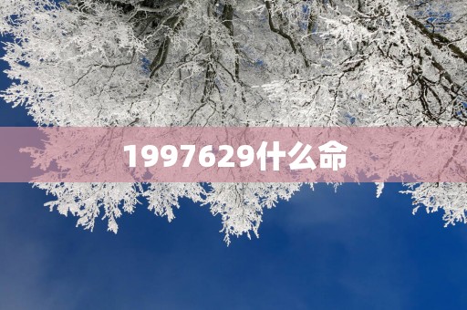 1997629什么命