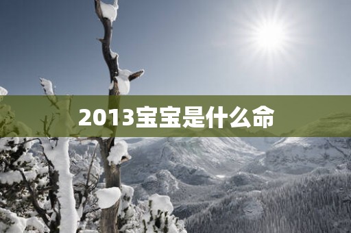 2013宝宝是什么命