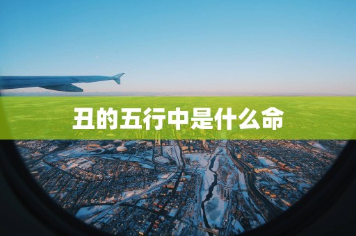 丑的五行中是什么命