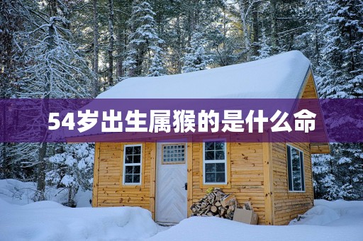 54岁出生属猴的是什么命