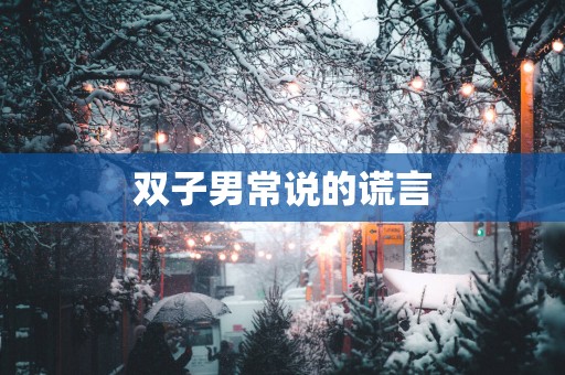 双子男常说的谎言