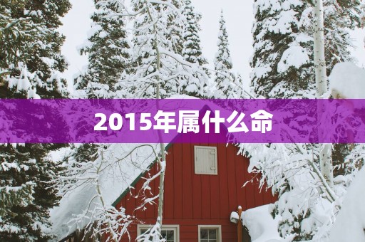 2015年属什么命