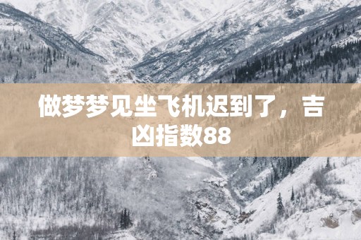 做梦梦见坐飞机迟到了，吉凶指数88