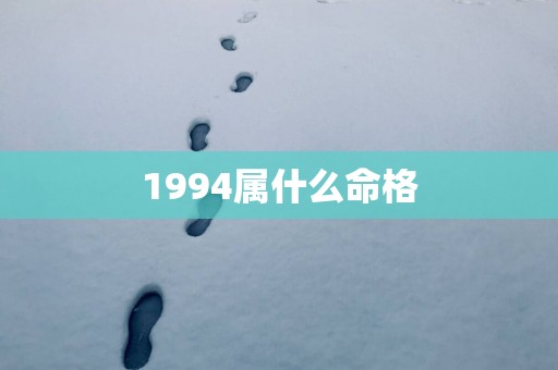 1994属什么命格