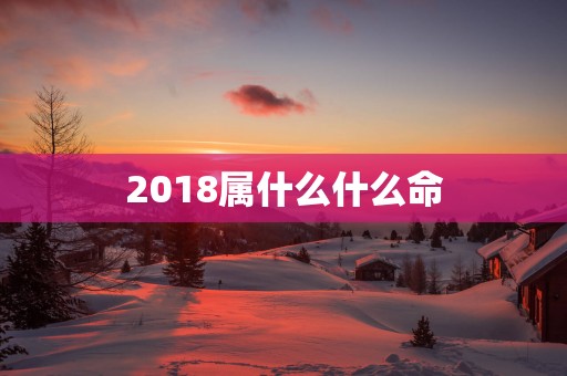 2018属什么什么命