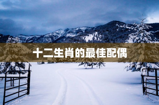 十二生肖的最佳配偶
