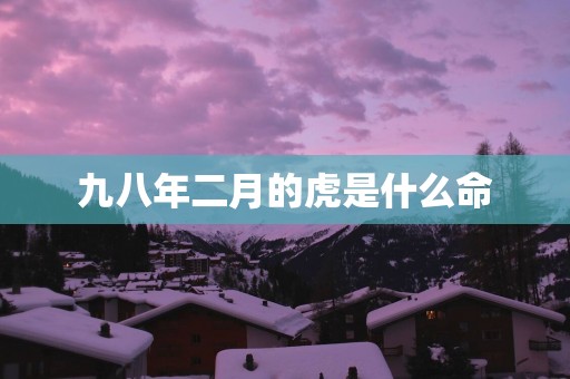 九八年二月的虎是什么命