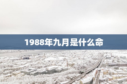 1988年九月是什么命