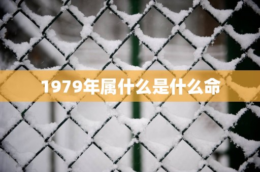 1979年属什么是什么命