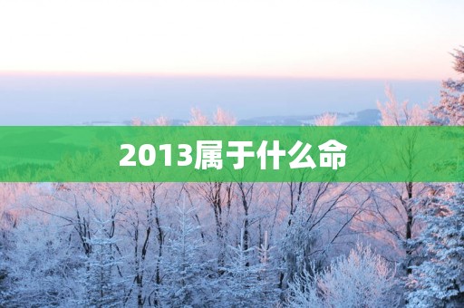 2013属于什么命