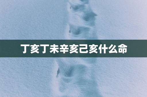 丁亥丁未辛亥己亥什么命